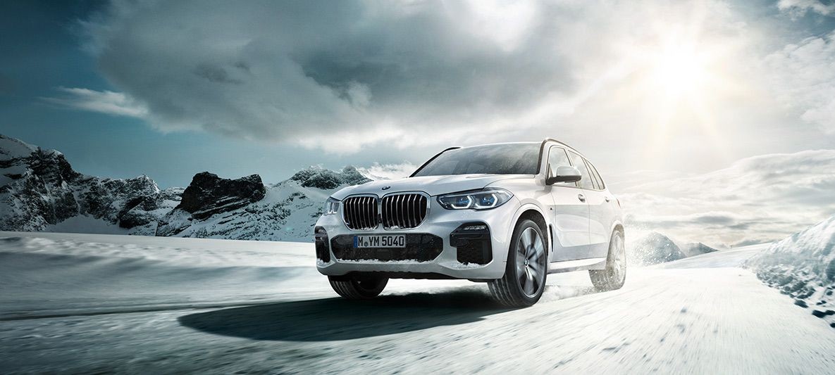 photo_in_container28617